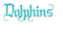dolphins